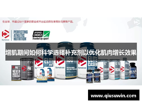 增肌期间如何科学选择补充剂以优化肌肉增长效果